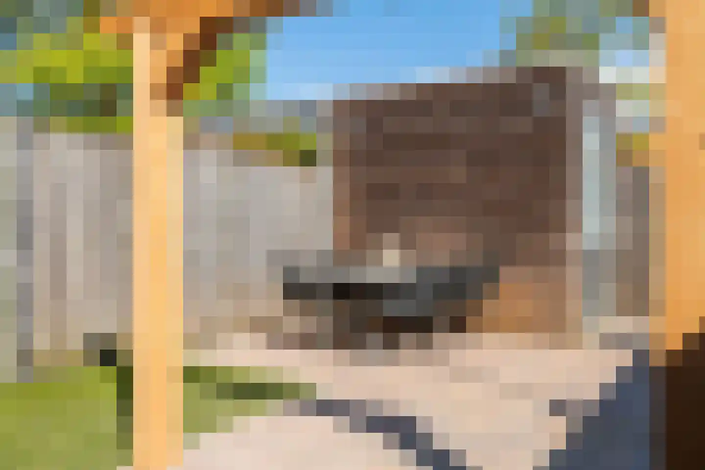 Het Woud 23 Ingen thumbnail 9