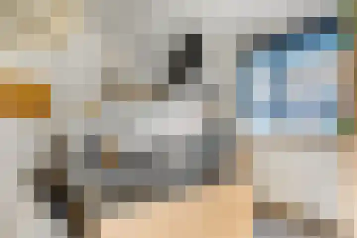 Het Woud 29 Ingen thumbnail 21
