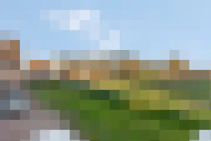 Het Woud 29 Ingen thumbnail 51