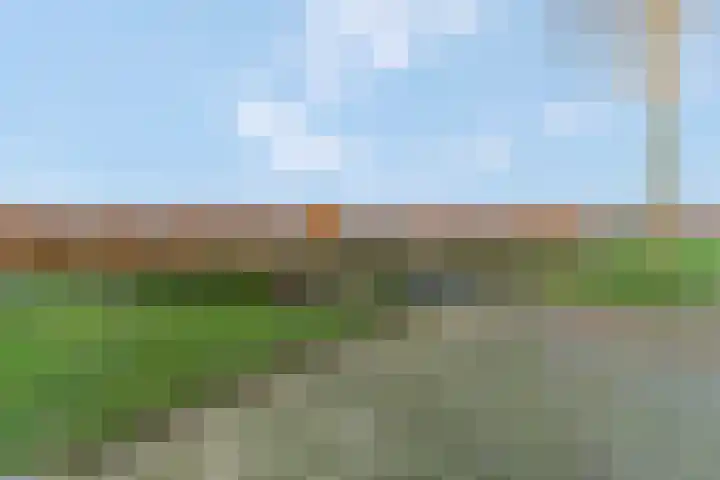 Het Woud 29 Ingen thumbnail 58