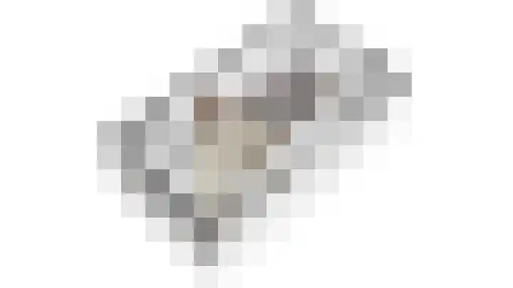 Het Woud 29 Ingen thumbnail 63