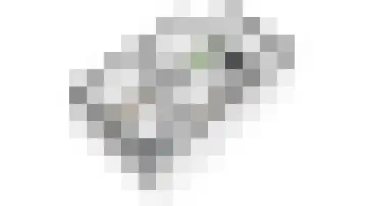 Het Woud 29 Ingen thumbnail 64