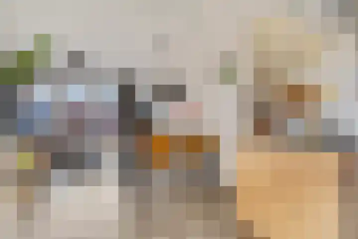 Het Woud 29 Ingen thumbnail 7