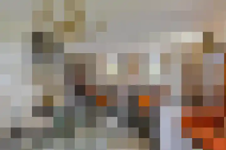 Het Wuiten 3 Veghel thumbnail 11