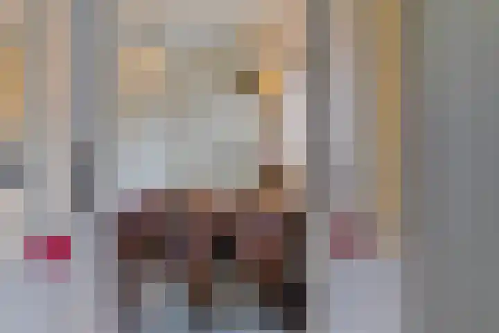 Het Wuiten 3 Veghel thumbnail 14