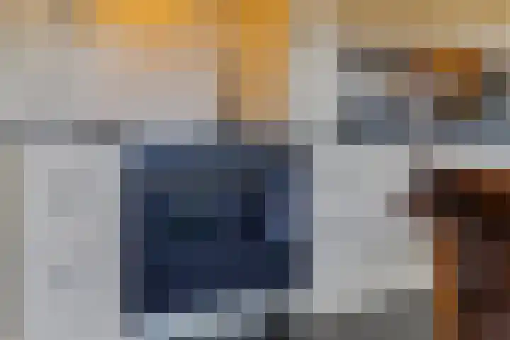 Het Wuiten 3 Veghel thumbnail 15