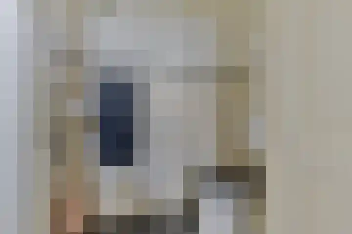 Het Wuiten 3 Veghel thumbnail 20