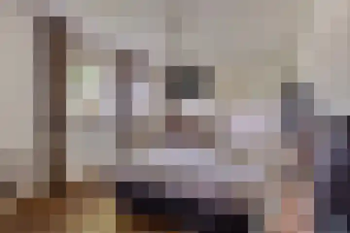 Het Wuiten 3 Veghel thumbnail 21