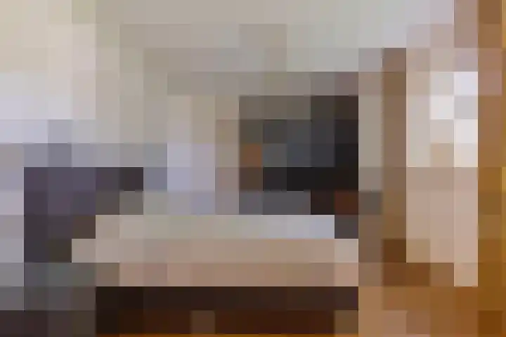 Het Wuiten 3 Veghel thumbnail 22