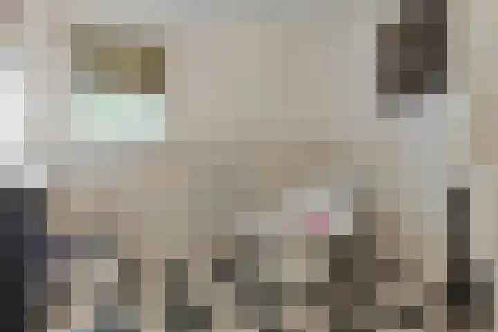 Het Wuiten 3 Veghel thumbnail 24