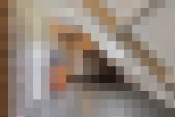 Het Wuiten 3 Veghel thumbnail 26
