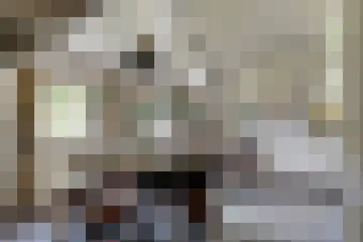 Het Wuiten 3 Veghel thumbnail 27