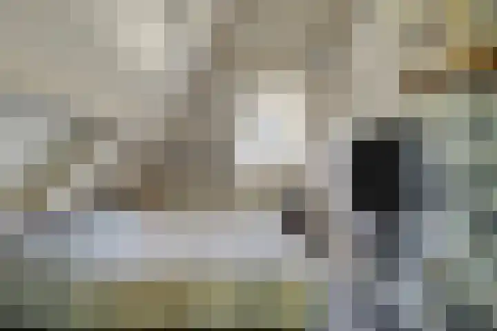 Het Wuiten 3 Veghel thumbnail 29
