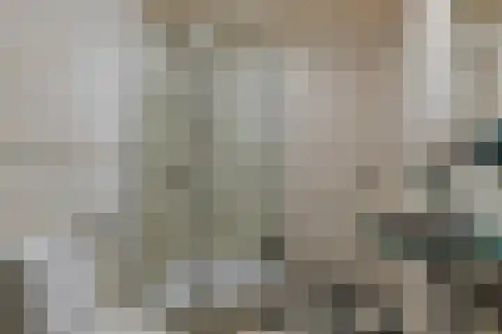 Het Wuiten 3 Veghel thumbnail 31