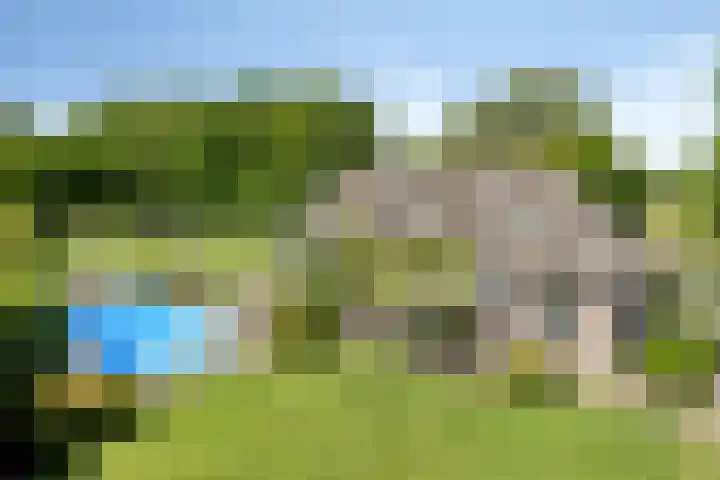 Het Wuiten 3 Veghel thumbnail 33