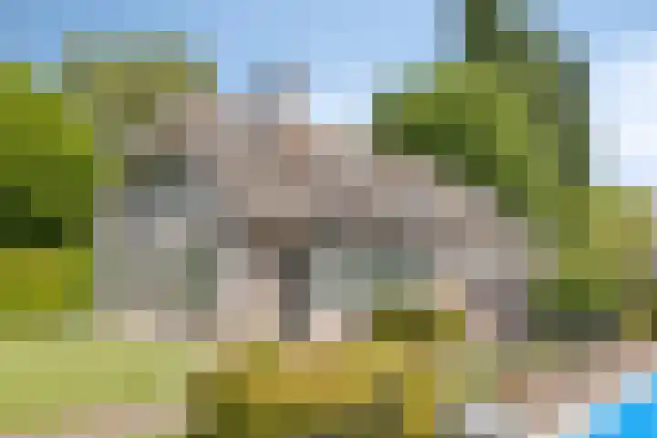 Het Wuiten 3 Veghel thumbnail 34