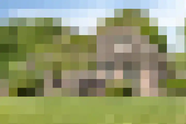 Het Wuiten 3 Veghel thumbnail 35