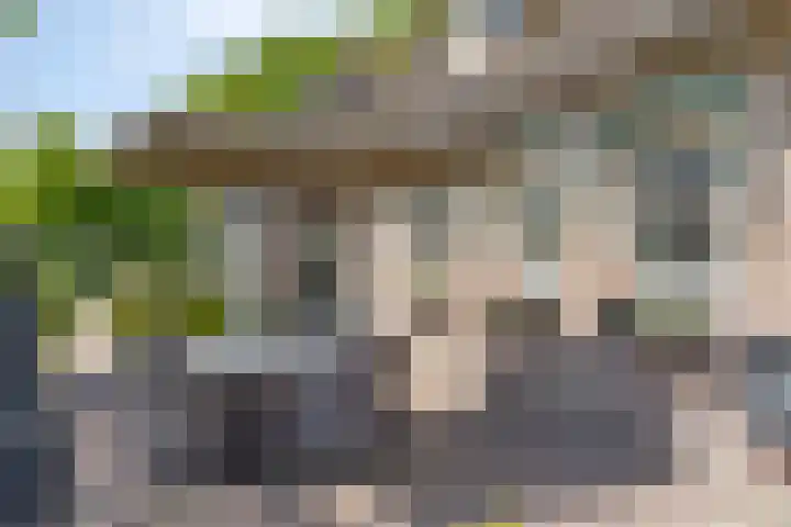 Het Wuiten 3 Veghel thumbnail 36
