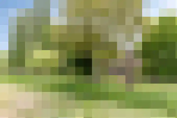 Het Wuiten 3 Veghel thumbnail 4