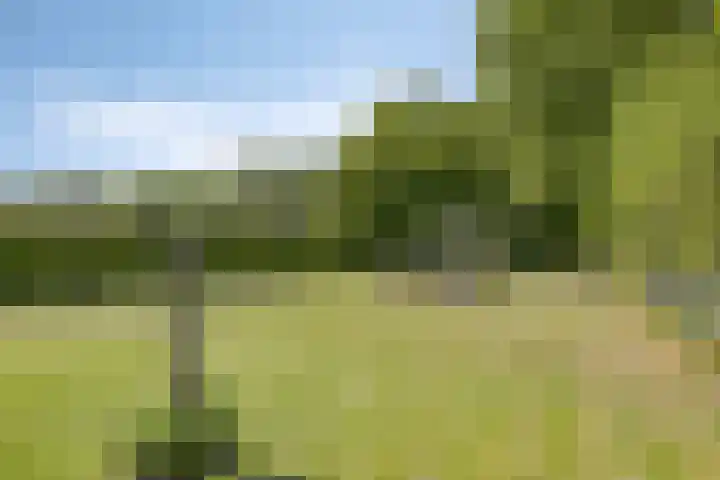 Het Wuiten 3 Veghel thumbnail 40