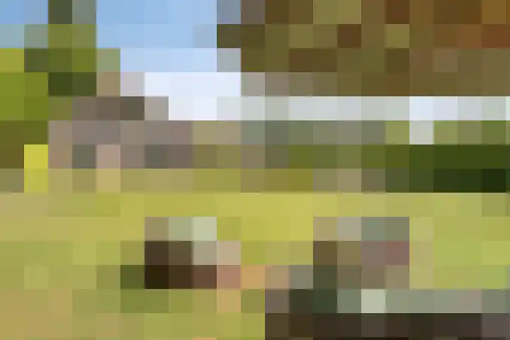 Het Wuiten 3 Veghel thumbnail 41