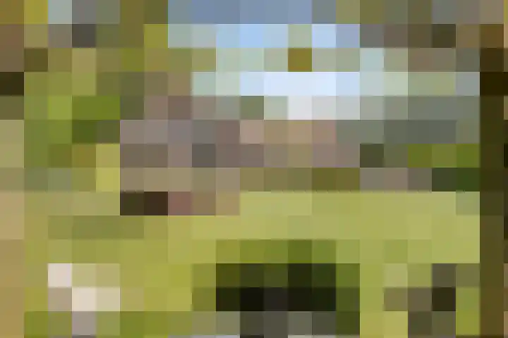 Het Wuiten 3 Veghel thumbnail 42