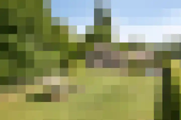Het Wuiten 3 Veghel thumbnail 43