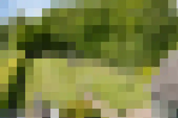Het Wuiten 3 Veghel thumbnail 44