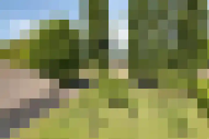 Het Wuiten 3 Veghel thumbnail 45