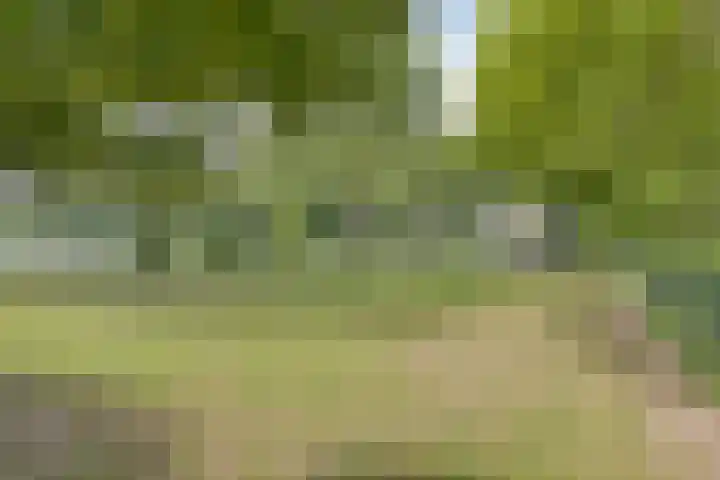 Het Wuiten 3 Veghel thumbnail 47