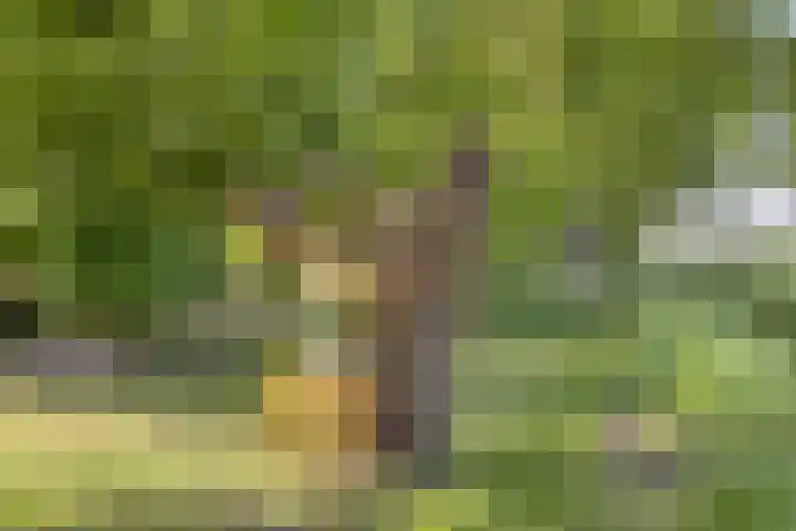 Het Wuiten 3 Veghel thumbnail 48