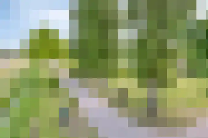 Het Wuiten 3 Veghel thumbnail 49