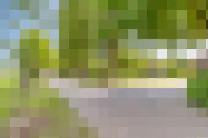 Het Wuiten 3 Veghel thumbnail 50