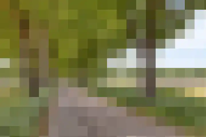 Het Wuiten 3 Veghel thumbnail 51