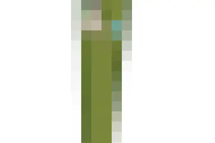 Het Wuiten 3 Veghel thumbnail 52