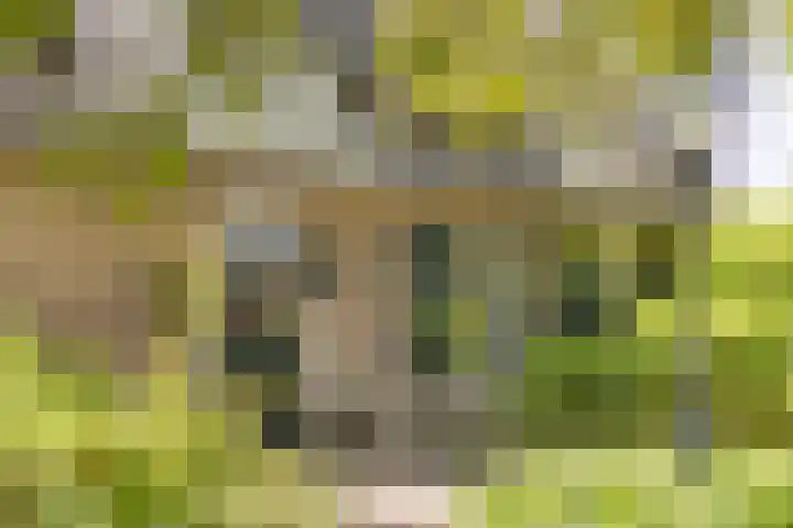 Het Wuiten 3 Veghel thumbnail 6