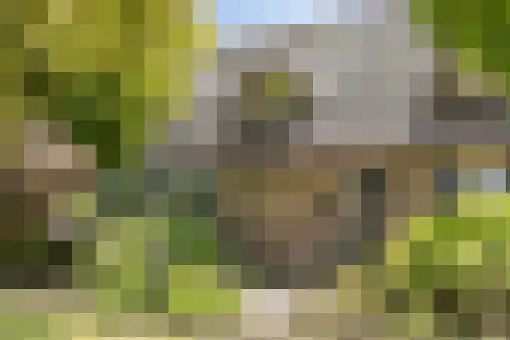 Het Wuiten 3 Veghel thumbnail 7