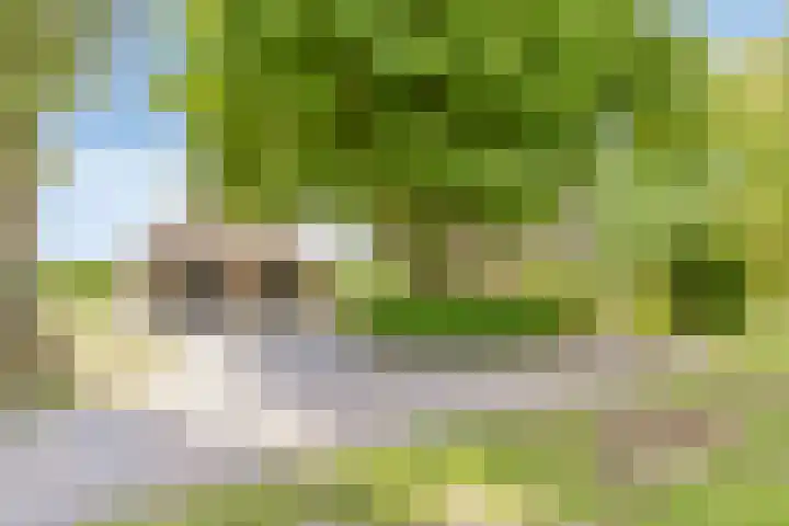 Het Wuiten 3 Veghel thumbnail 8