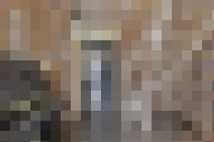 Het Wuiten 3 Veghel thumbnail 9