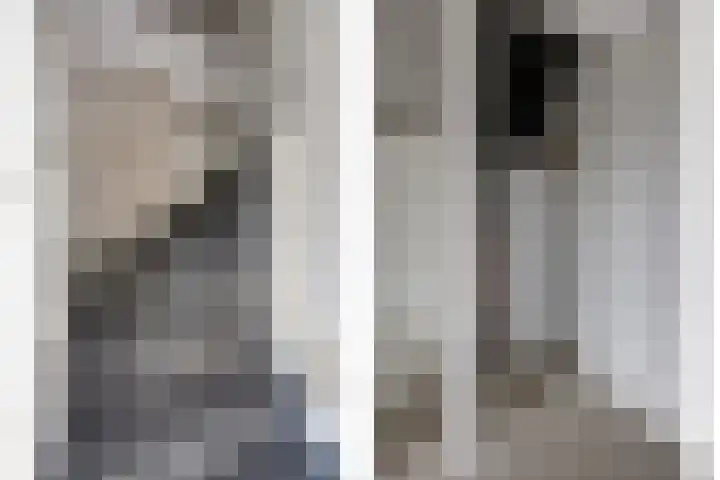 Het Zadel 1 Dronten thumbnail 21