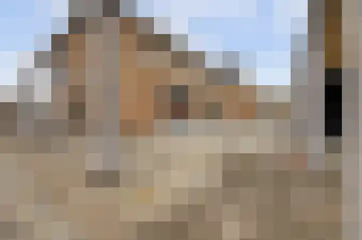 Het Zadel 1 Dronten thumbnail 35