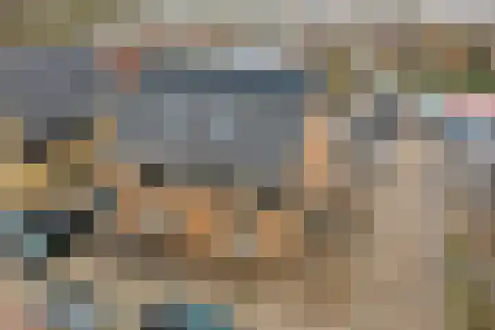 Het Zadel 1 Dronten thumbnail 39