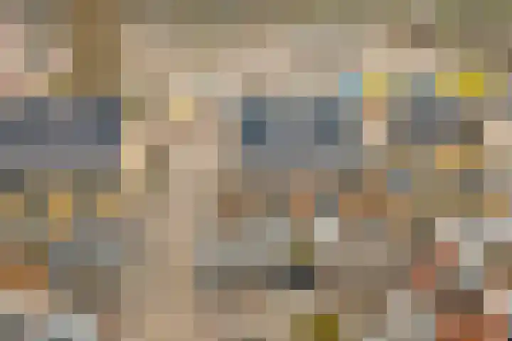 Het Zadel 1 Dronten thumbnail 41