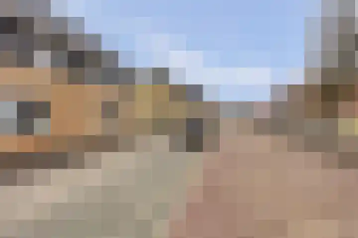 Het Zadel 1 Dronten thumbnail 43