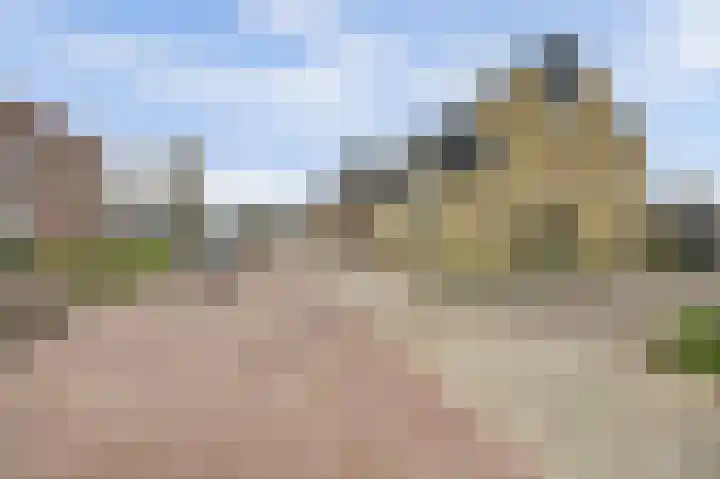 Het Zadel 1 Dronten thumbnail 5