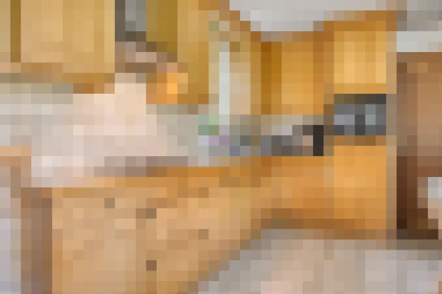 Het Zand 12 Koewacht thumbnail 12