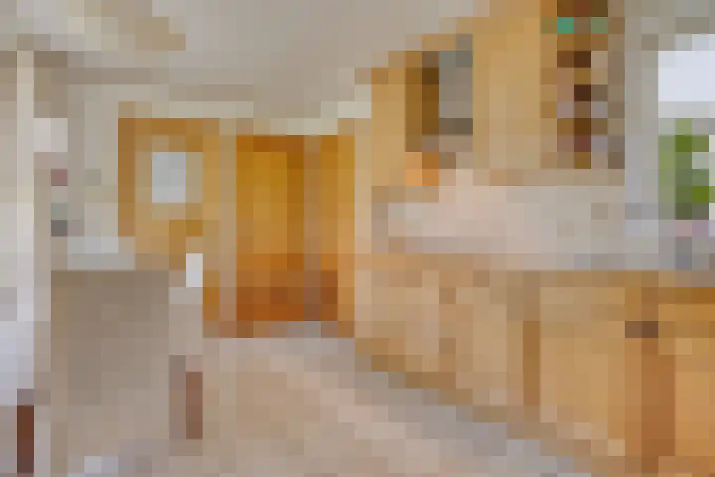 Het Zand 12 Koewacht thumbnail 15