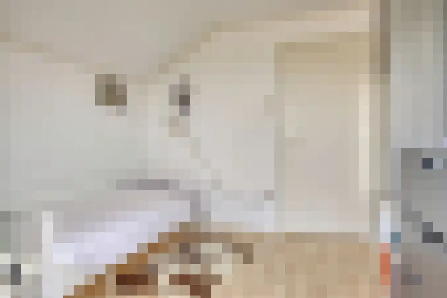 Het Zand 12 Koewacht thumbnail 22