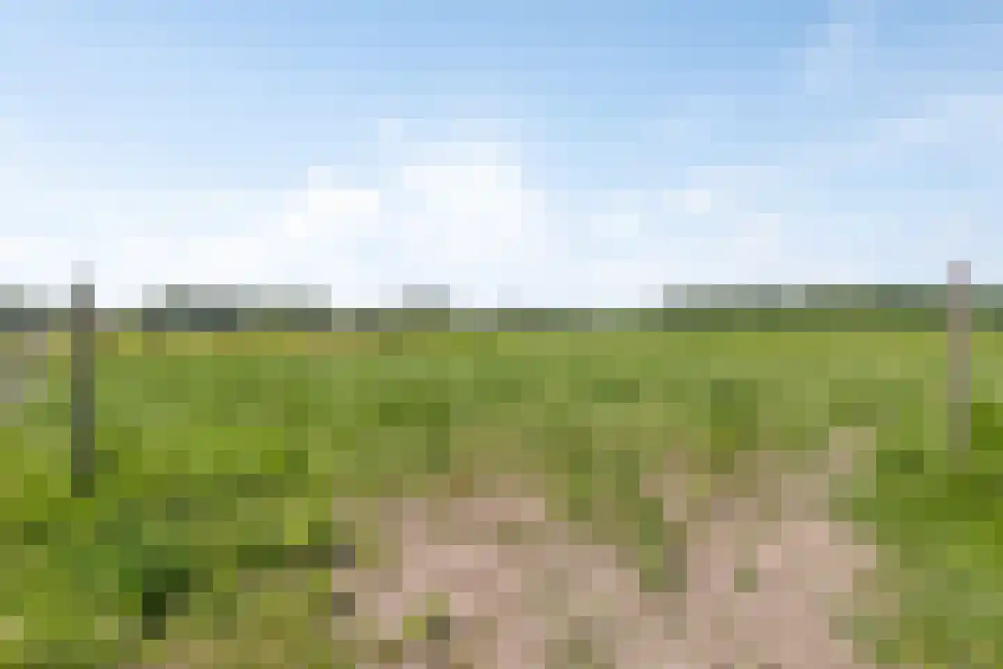 Het Zand 12 Koewacht thumbnail 31