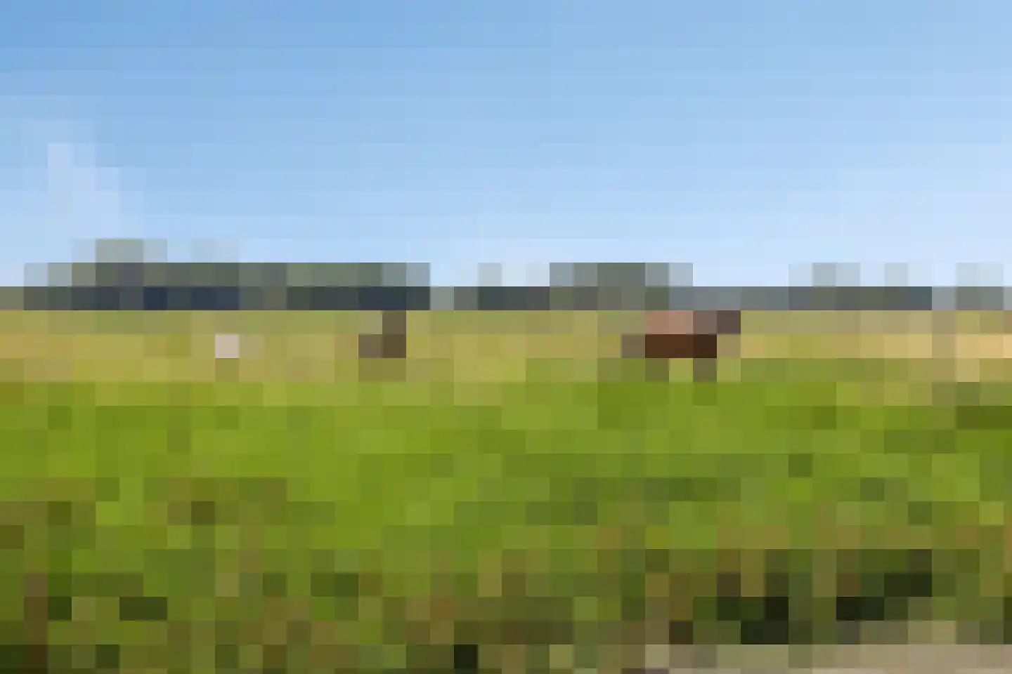 Het Zand 12 Koewacht thumbnail 32